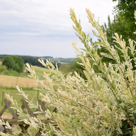 بيت للعطل Jagafranzl