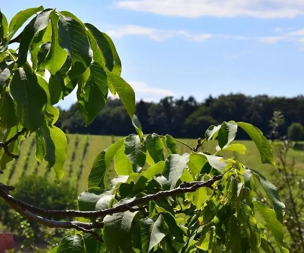 Jagafranzl Ferienhaus Gnas